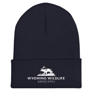 Light Landscape Logo Cuffed Beanie