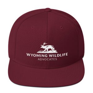 Light Landscape Logo Snapback Hat