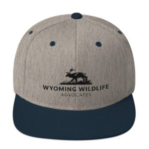 Dark Landscape Logo Snapback Hat