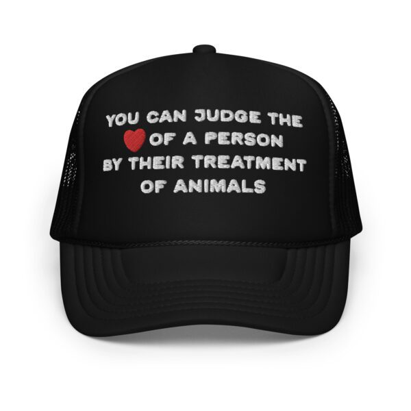 foam-trucker-hat-black-one-size-front-665f78962cc24.jpg